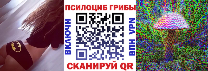 Галлюциногенные грибы Cubensis  дарк нет какой сайт  Родники 